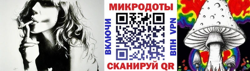 купить наркоту  мориарти официальный сайт  Галлюциногенные грибы Magic Shrooms  Славгород 