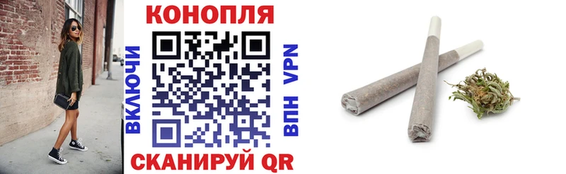 где купить наркотик  Славгород  Конопля White Widow 
